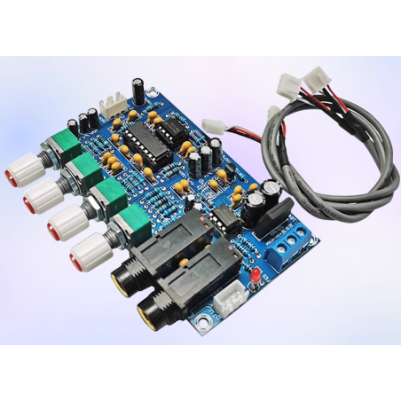 ماژول اکو - پری آمپلی فایر مدل XH-M173